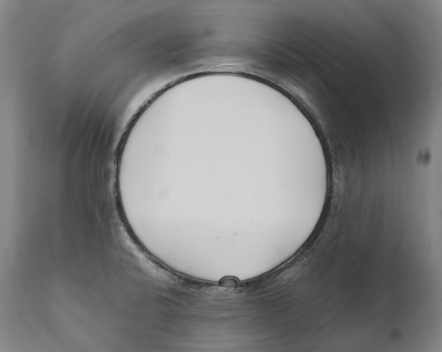 X0000111531424200908111215