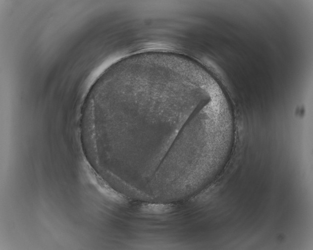 X0000111531427200908111215