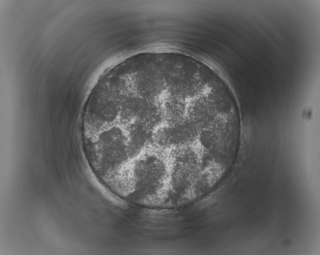 X0000111531429200908111215