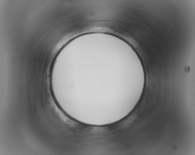 X0000111531430200908111215