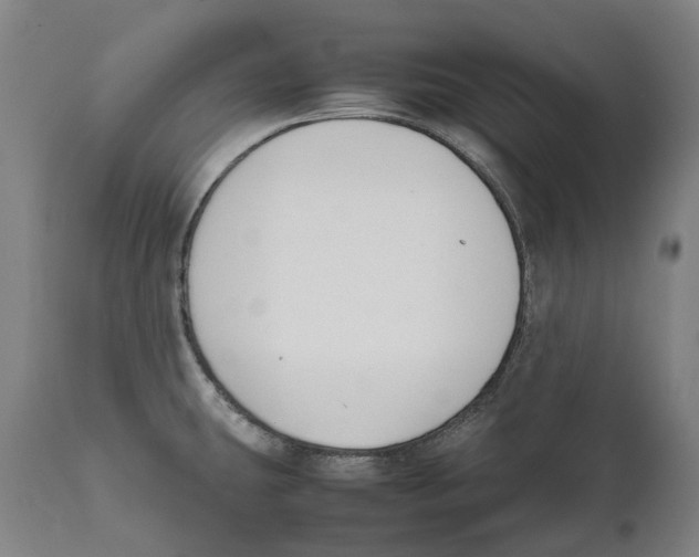 X0000111531431200908111215