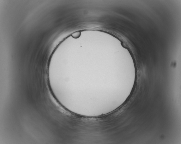 X0000111531432200908111215