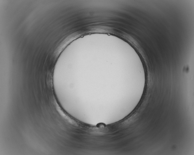 X0000111531433200908111215