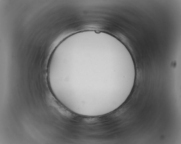 X0000111531435200908111215