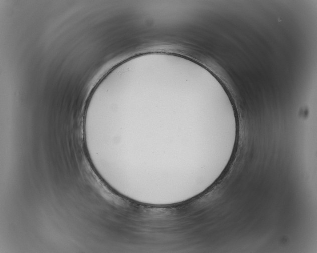 X0000111531436200908111215