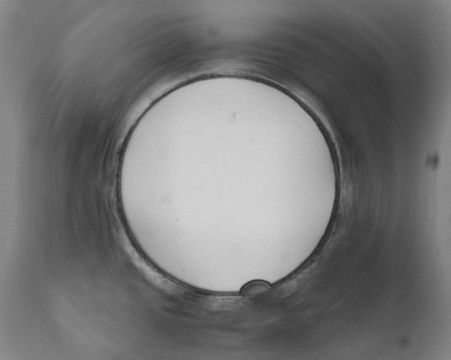 X0000111531437200908111215