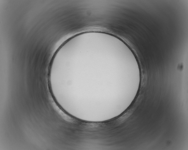 X0000111531438200908111215