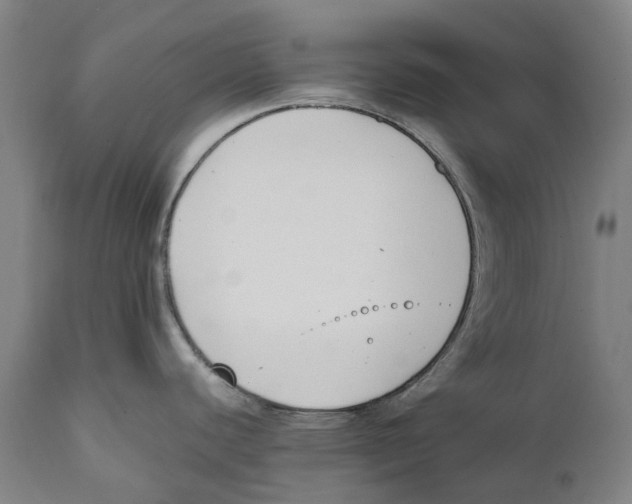 X0000111531440200908111215