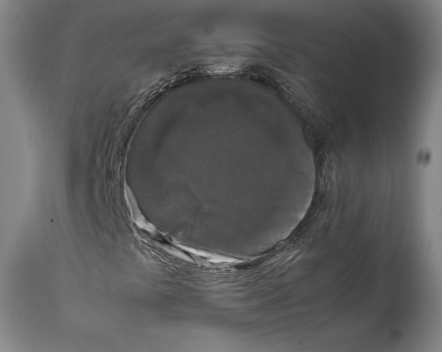 X0000111531441200908111215