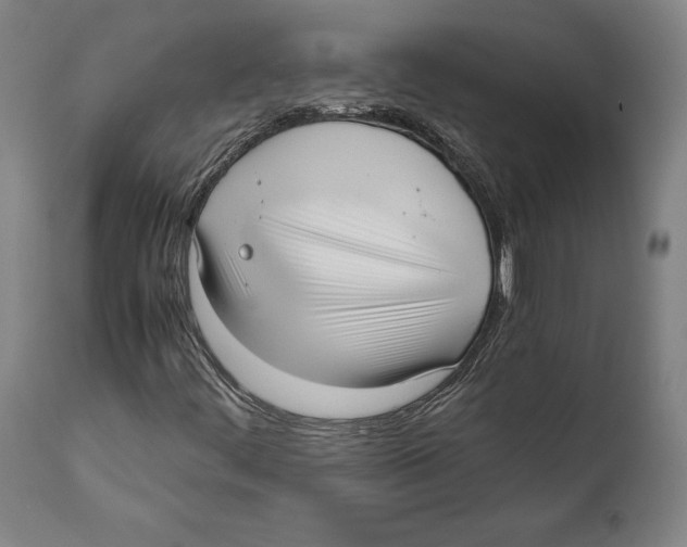 X0000111531444200908111215