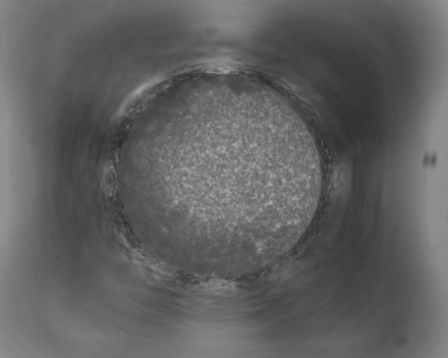 X0000111531446200908111215