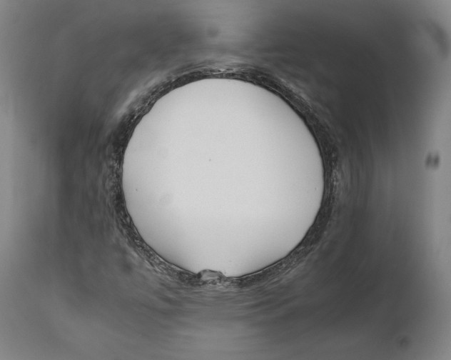 X0000111531447200908111215