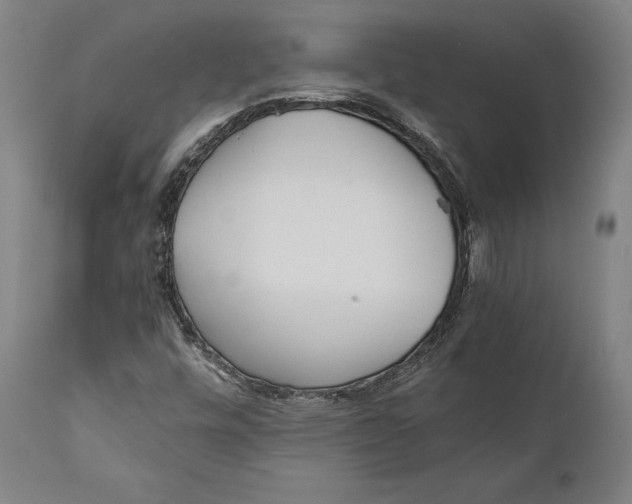 X0000111531448200908111215