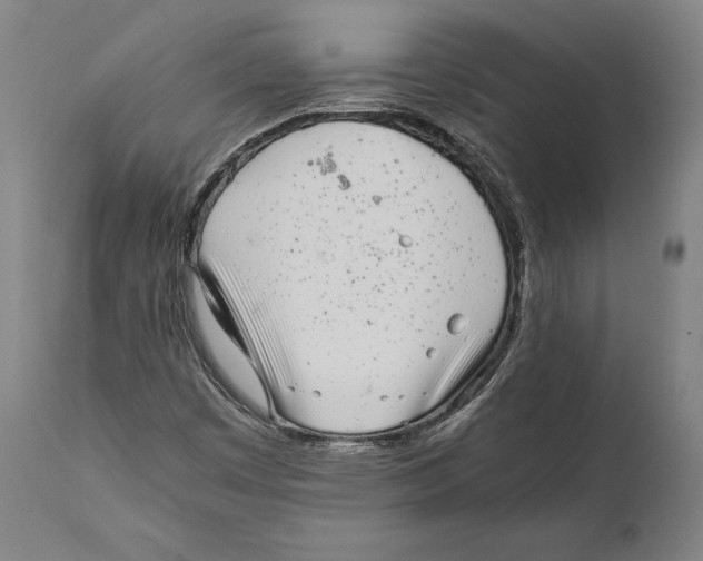 X0000111531449200908111215