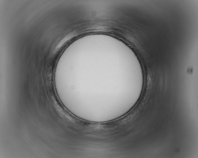 X0000111531450200908111215