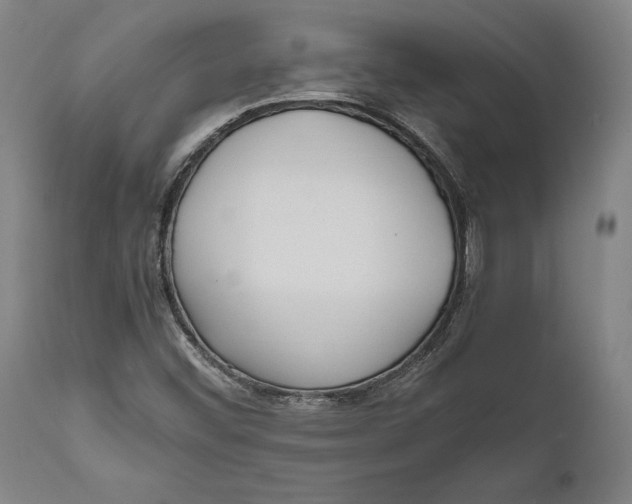 X0000111531452200908111215