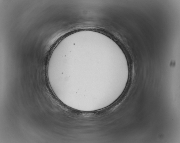 X0000111531453200908111215