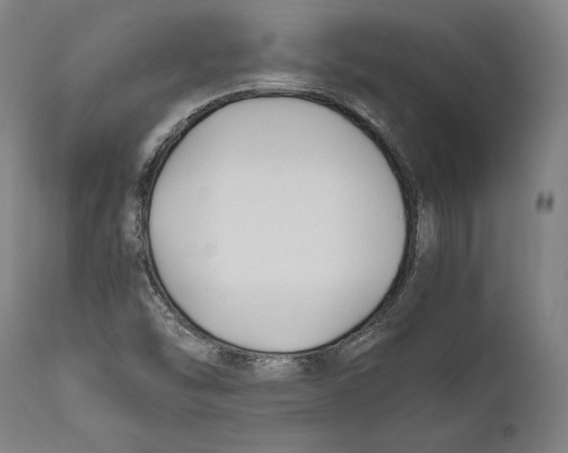 X0000111531454200908111214