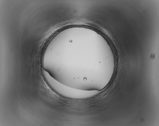 X0000111531456200908111214