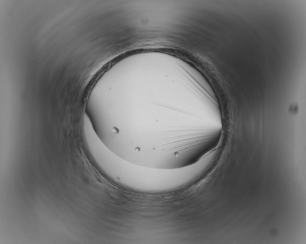 X0000111531457200908111214