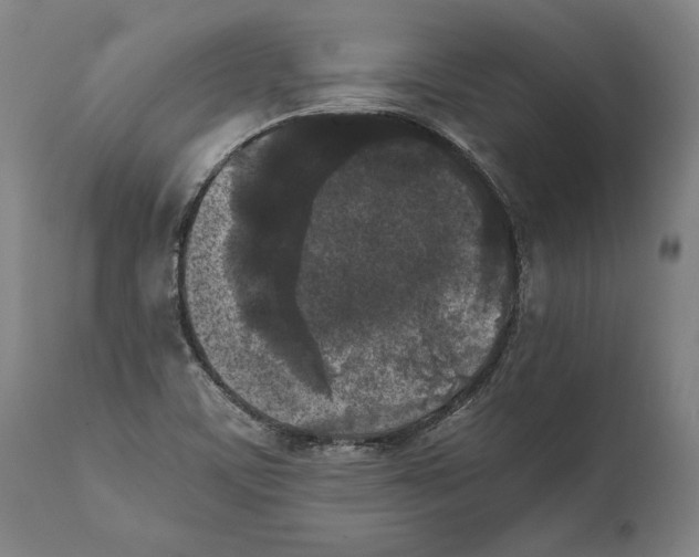 X0000111531459200908111214