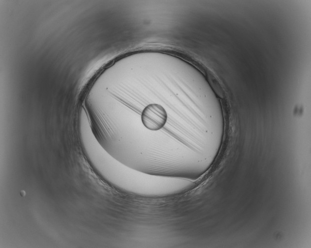 X0000111531461200908111214