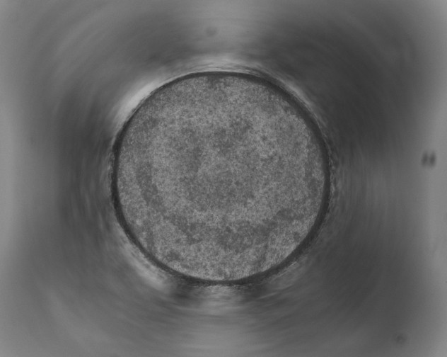 X0000111531463200908111214