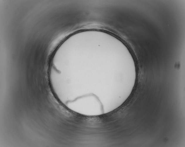 X0000111531464200908111214