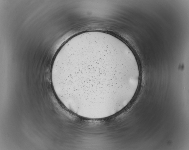 X0000111531465200908111214