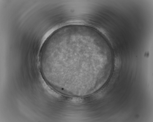 X0000111531466200908111214