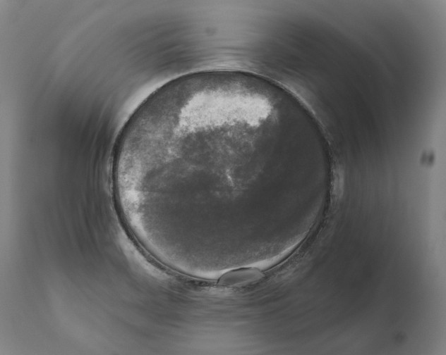 X0000111531468200908111214