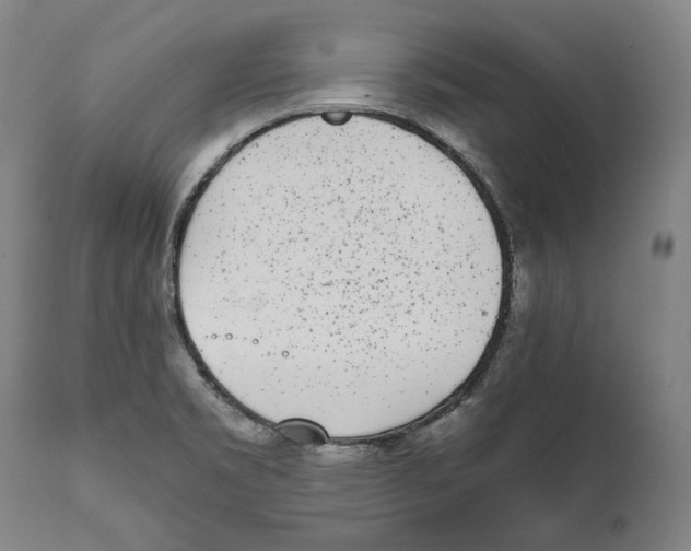 X0000111531469200908111214