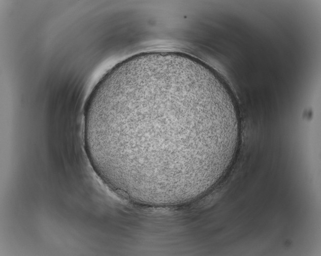 X0000111531472200908111214