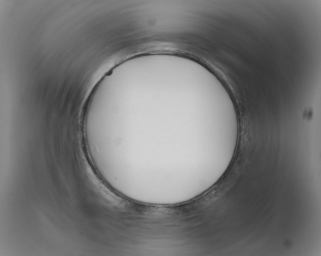 X0000111531475200908111214