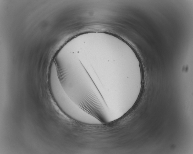 X0000111531477200908111214