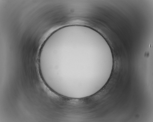 X0000111531478200908111214