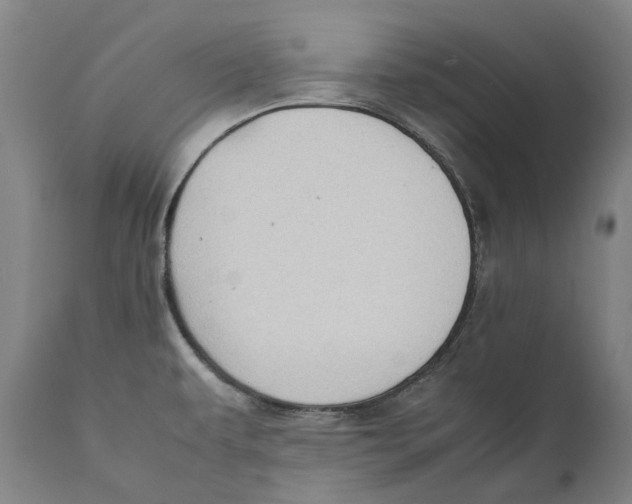 X0000111531479200908111214