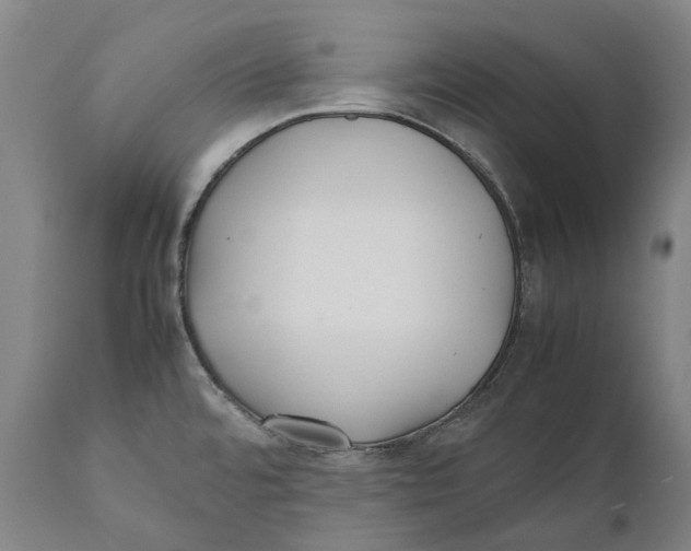 X0000111531480200908111214