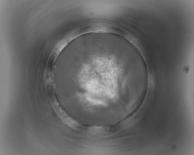 X0000111531481200908111214