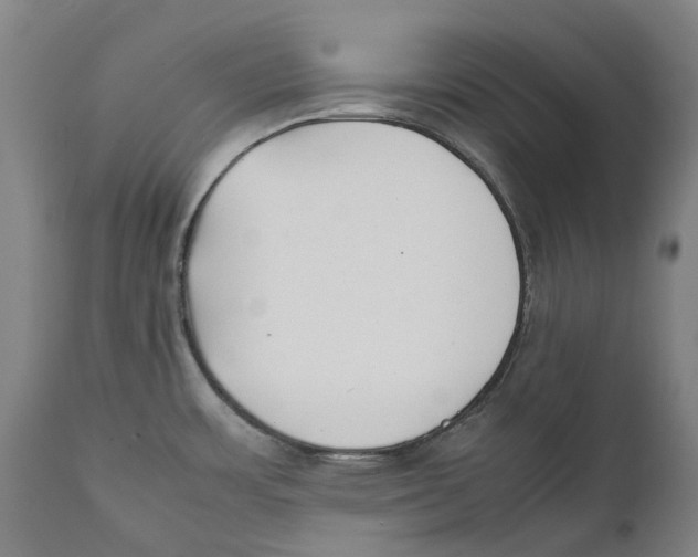 X0000111531483200908111214