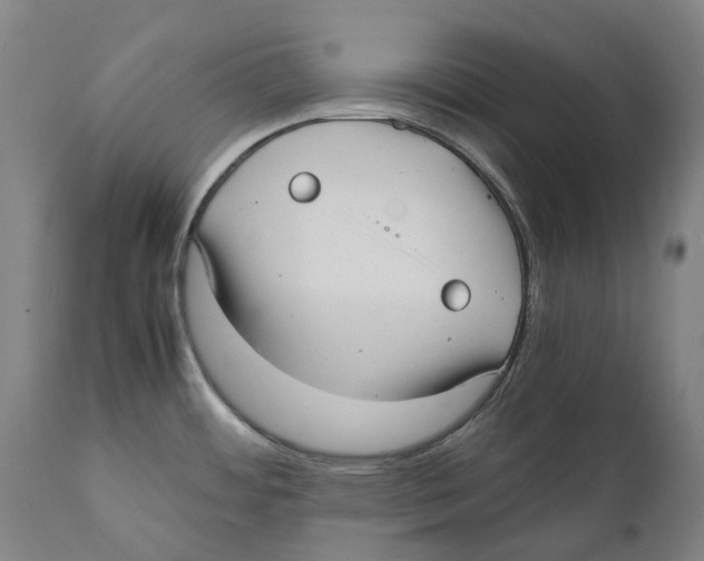 X0000111531484200908111214