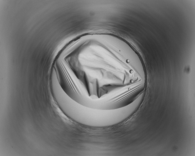 X0000111531485200908111214