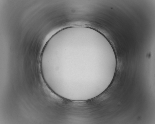 X0000111531486200908111214