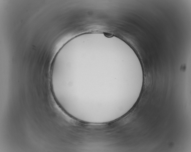 X0000111531487200908111214