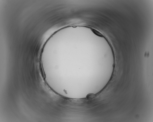 X0000111531488200908111214