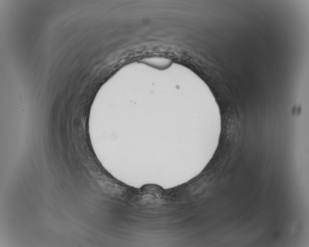 X0000111531489200908111213