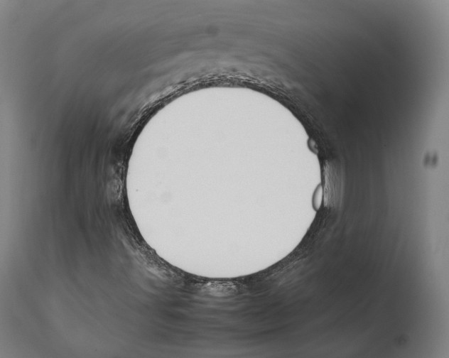 X0000111531491200908111213