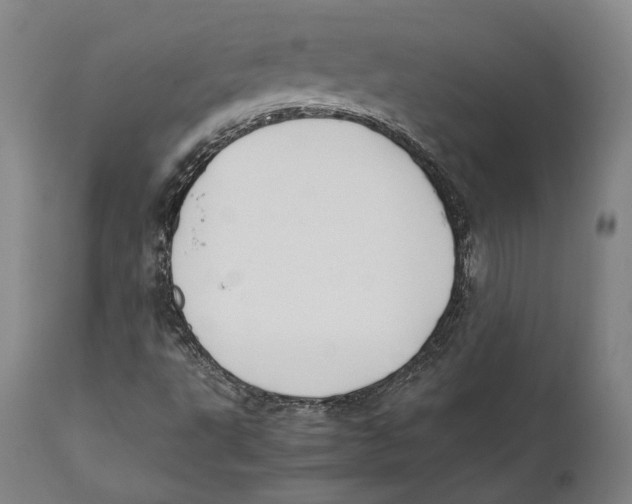 X0000111531495200908111213