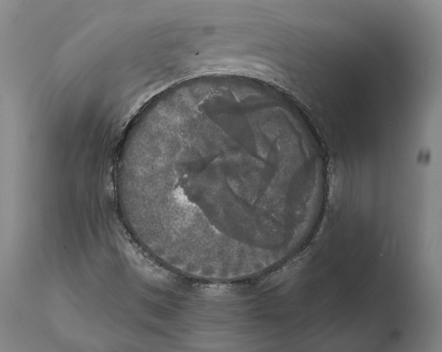 X0000111531497200908111213