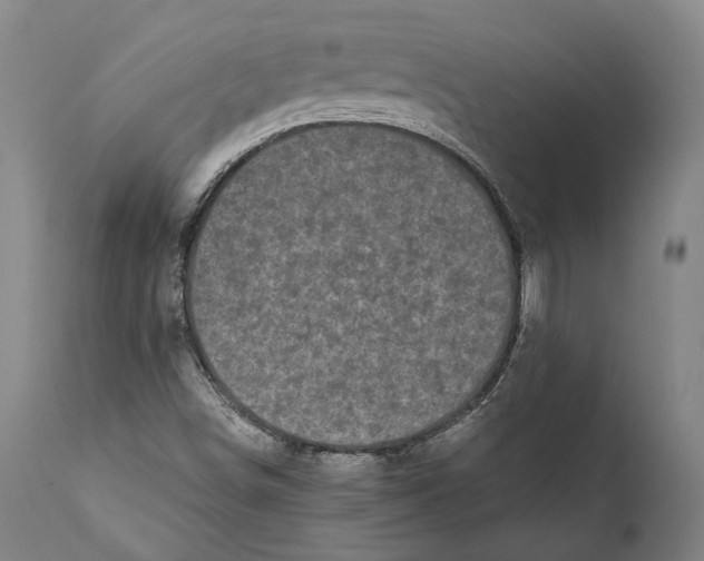 X0000111531498200908111214